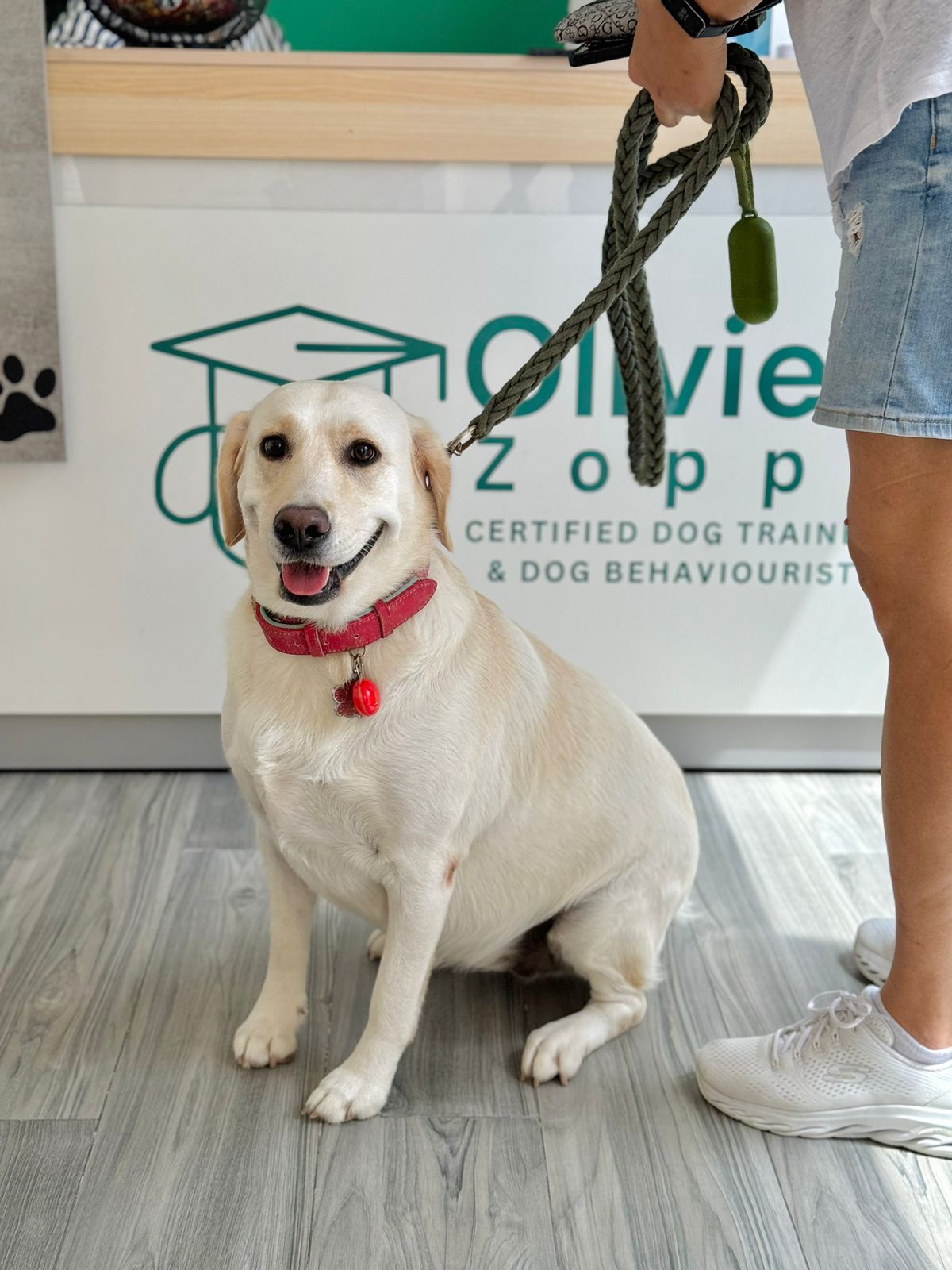 structured daily routine