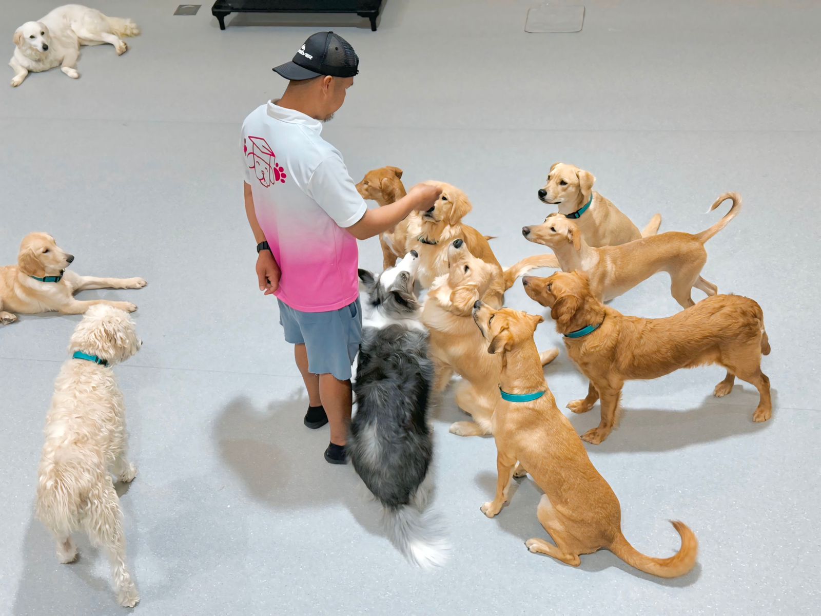 comfortable boarding accommodations