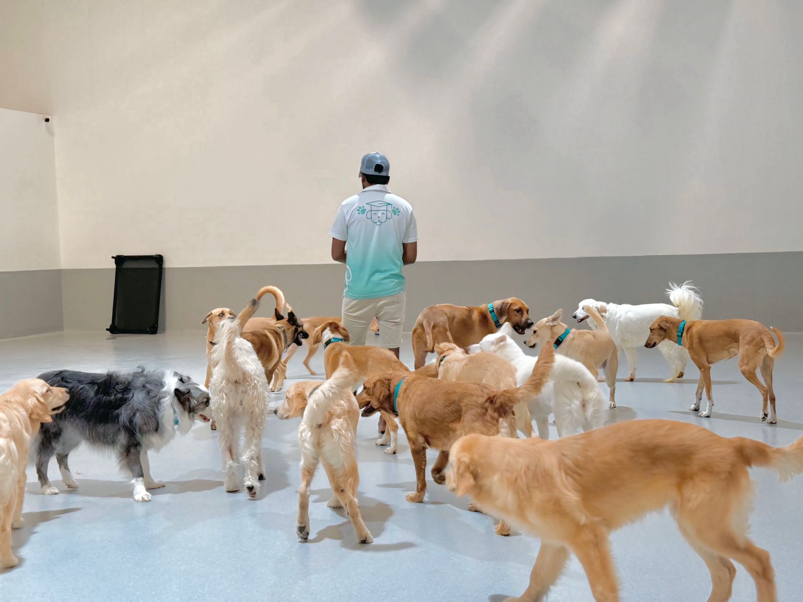 enrichment activities